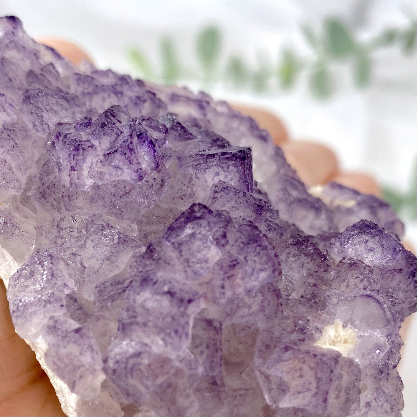 Purple Edge Cubic Fluorite Cluster Specimen