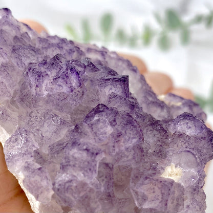 Purple Edge Cubic Fluorite Cluster Specimen