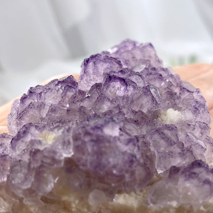 Purple Edge Cubic Fluorite Cluster Specimen