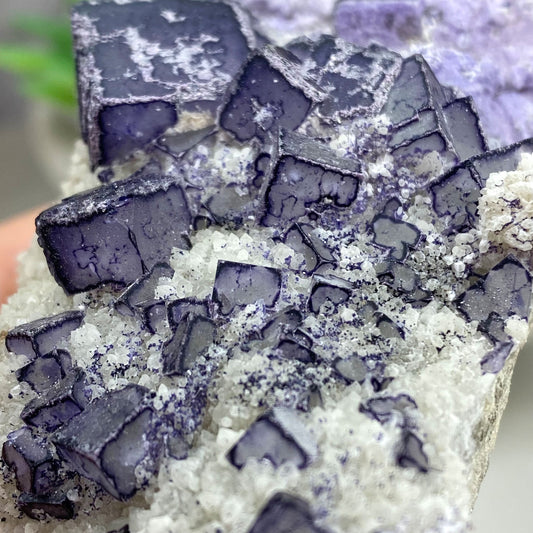 Indigo Purple Cubic Fluorite with Quartz Cluster