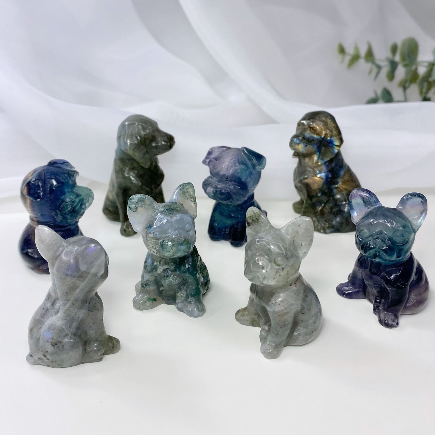 Schnauzer Fluorite Dog Carving