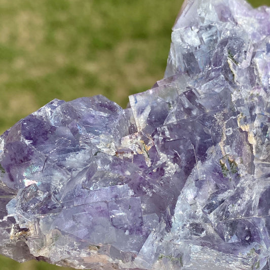 Light Blue with Purple Phantoms Cubic Fluorite Cluster