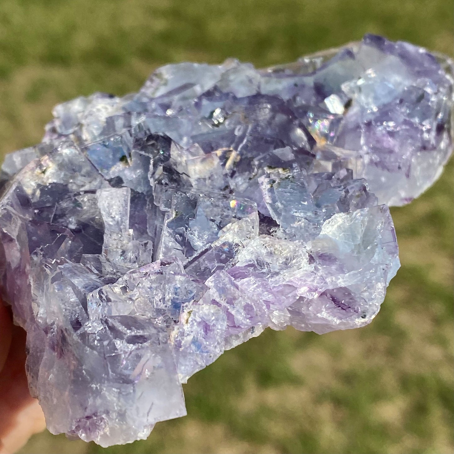 Light Blue with Purple Phantoms Cubic Fluorite Cluster