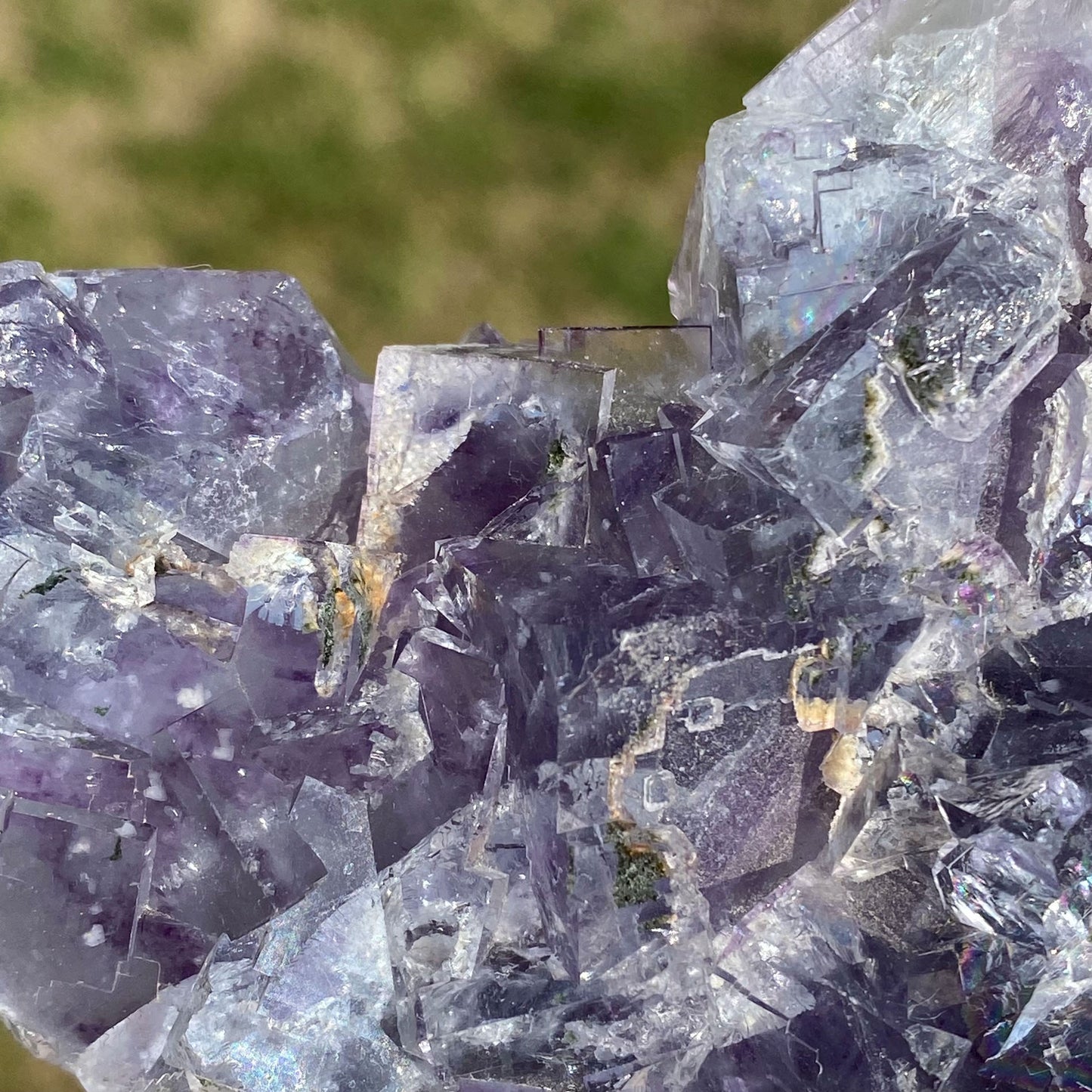 Light Blue with Purple Phantoms Cubic Fluorite Cluster