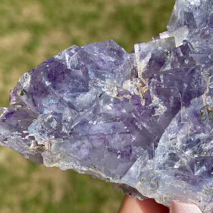 Light Blue with Purple Phantoms Cubic Fluorite Cluster