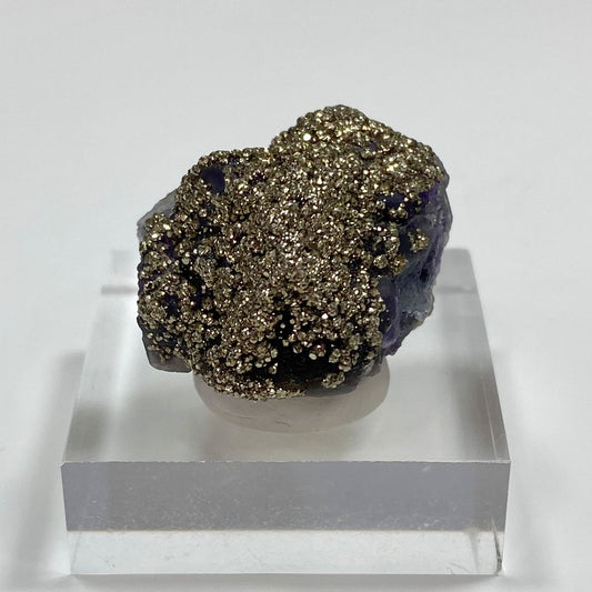 Purple Fluorite Covered with Shimmery Gold Pyrite Yaogangxian Mine