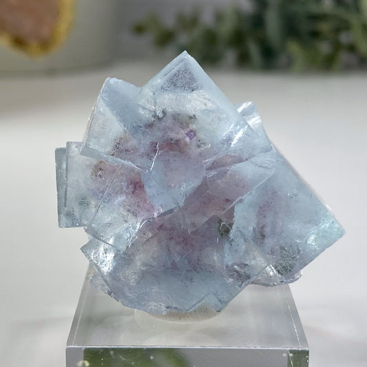 Icy Blue Cubic Fluorite with Purple Specimen Yindu Mine