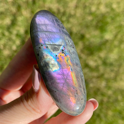 Labradorite Palm Stone Rainbow Dreamscape Flash