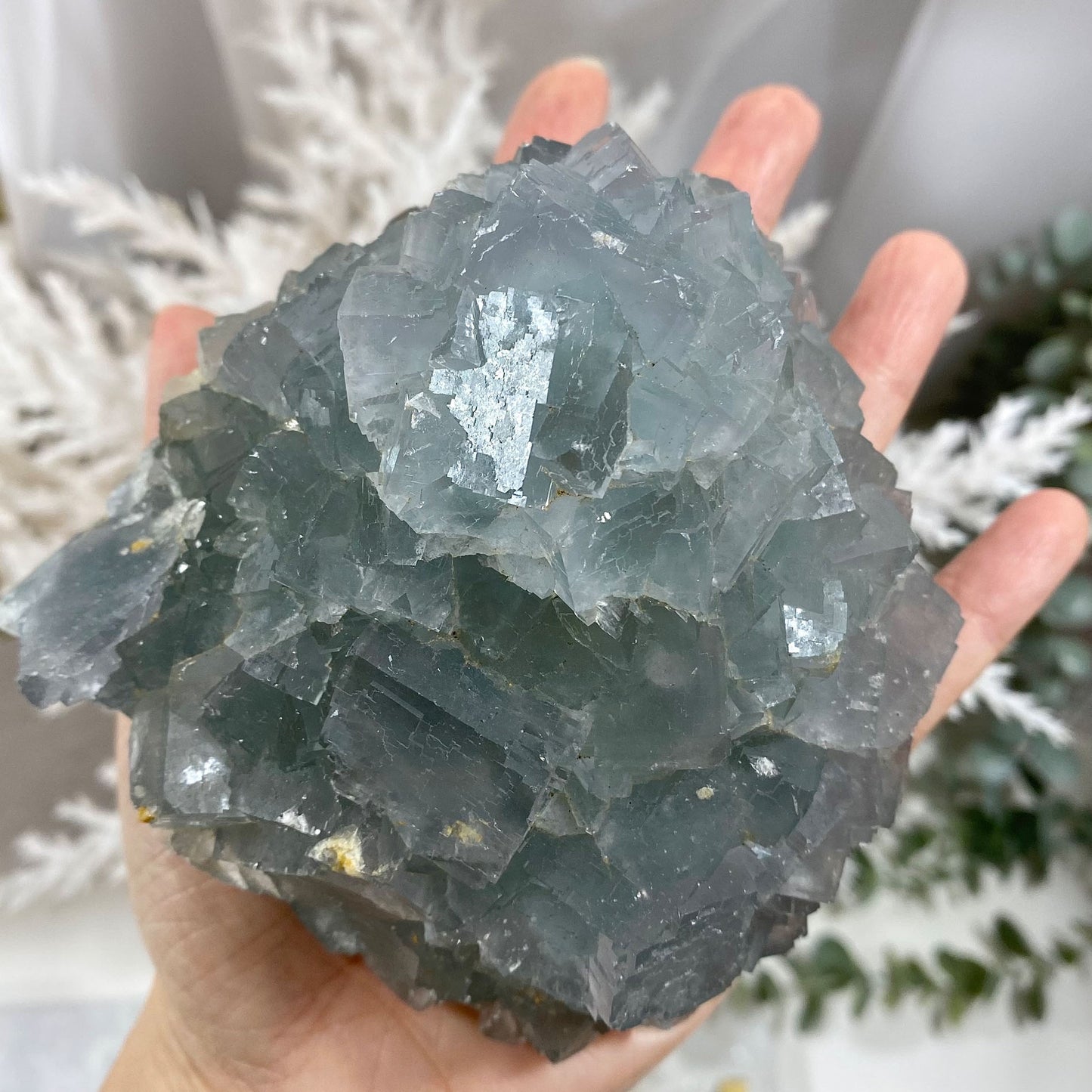 Large Light Blue Cubic Fluorite Cluster on Quartz