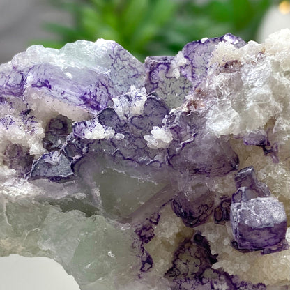 Light Green with Purple Patterns Cubic Fluorite and Quartz Cluster