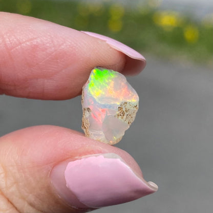 Ethiopian Opal