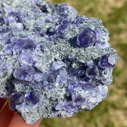 Purple "Tanzanite Color" Polyhedral Fluorite with Quartz