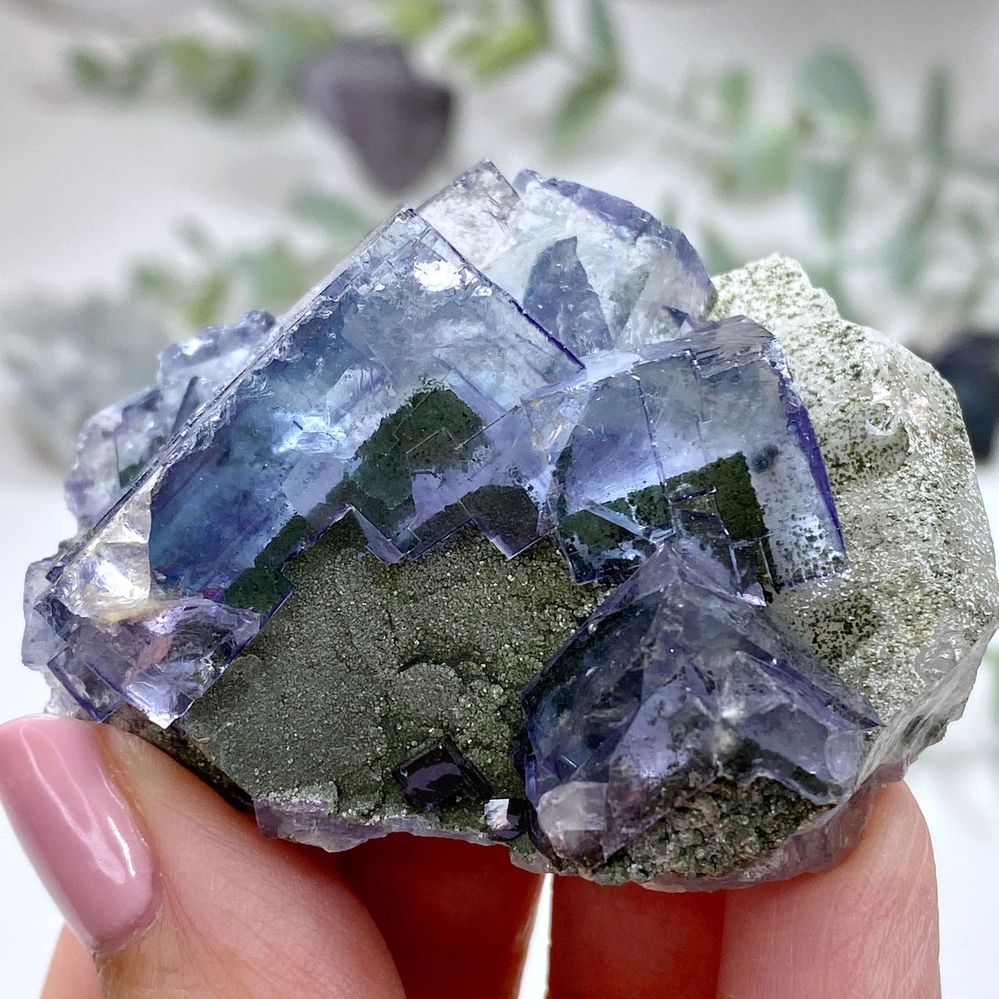 Blue Cubic Fluorite on Quartz Specimen