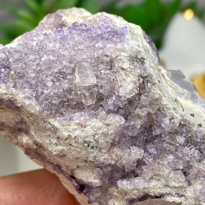 Light Purple Cubic Fluorite and Quartz Cluster