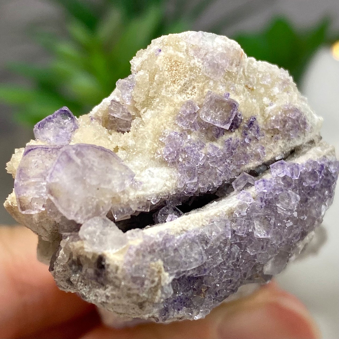 Light Purple Cubic Fluorite and Quartz Cluster