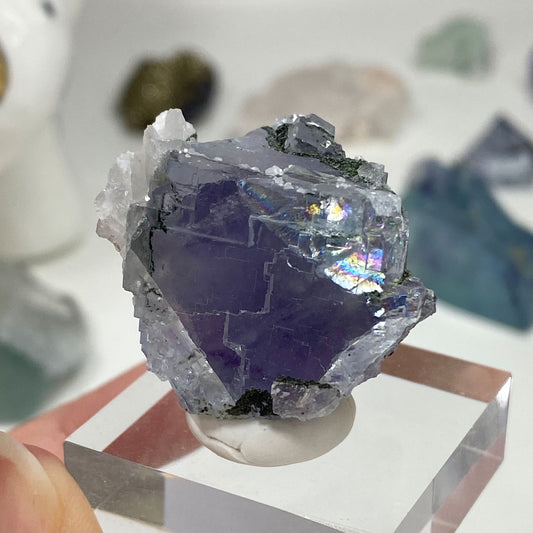 Purple Cubic Fluorite with Chlorite & Calcite Yaogangxian Mine