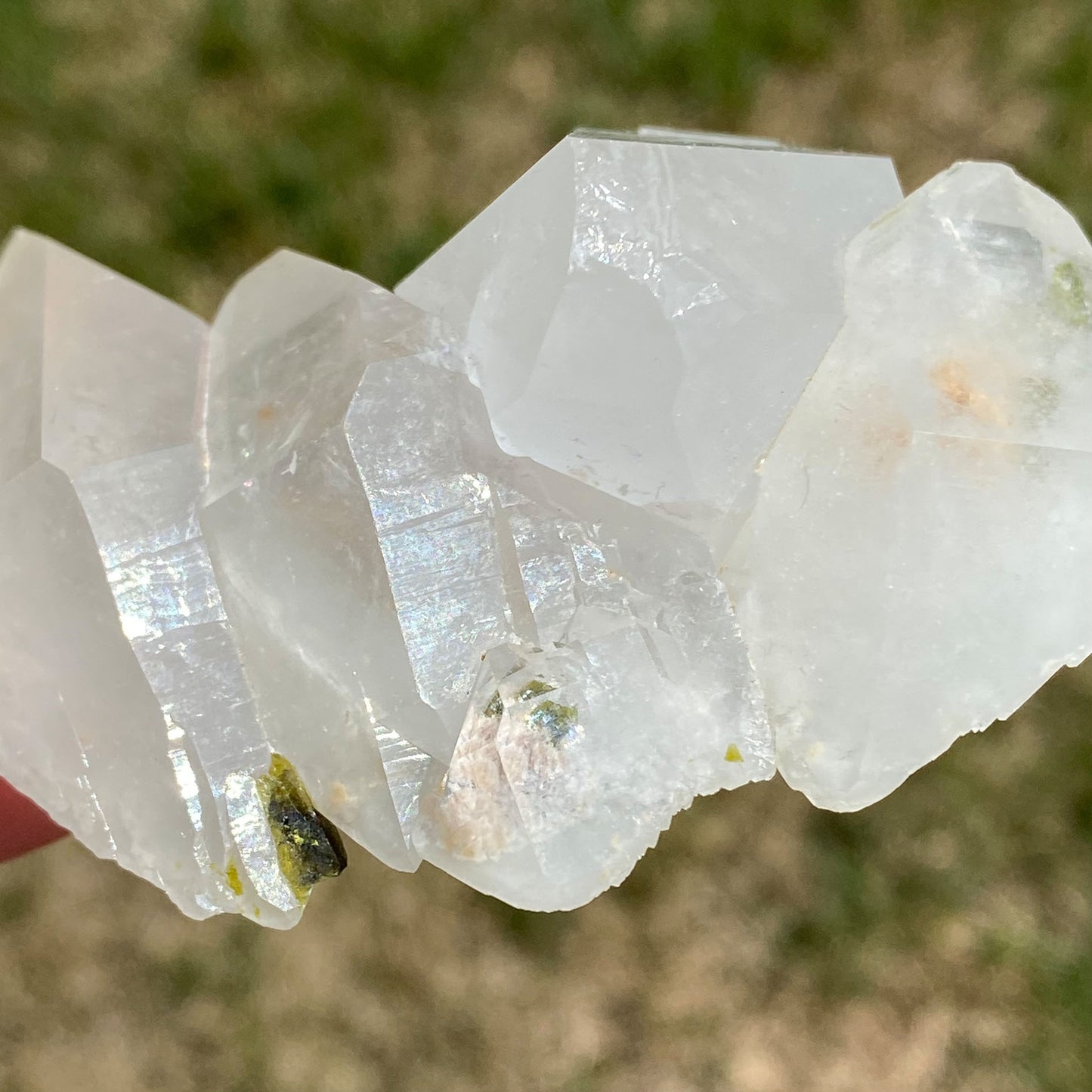 Clear Quartz DT Cluster with Epidote