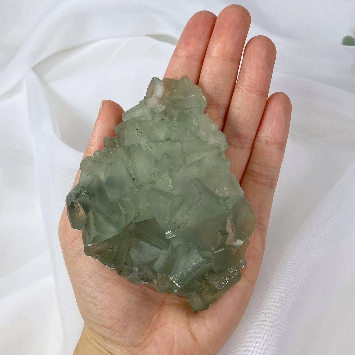 Sage Green Fluorite Cubic Cluster Specimen