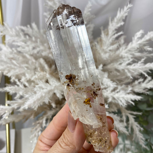 Long Selenite Gypsum Crystal Mineral Specimen