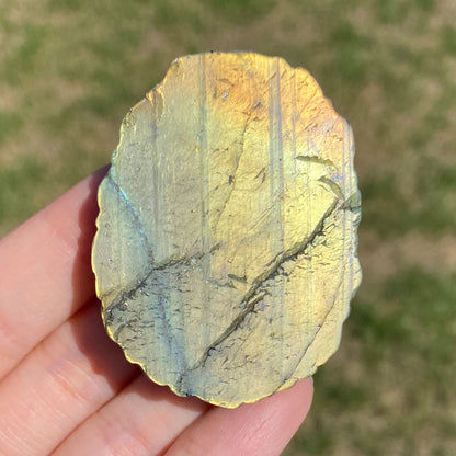 Peacock Hummingbird Crane Labradorite Carving